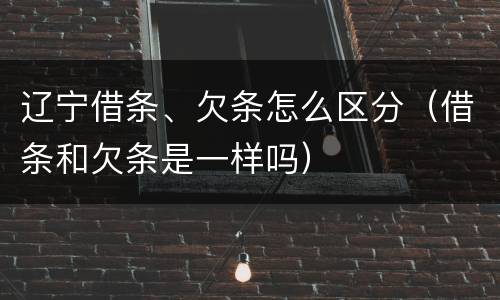 辽宁借条、欠条怎么区分（借条和欠条是一样吗）