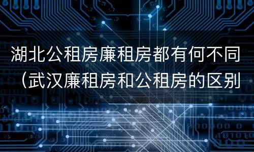 湖北公租房廉租房都有何不同（武汉廉租房和公租房的区别）