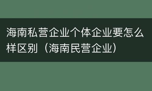海南私营企业个体企业要怎么样区别（海南民营企业）