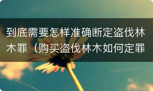 到底需要怎样准确断定盗伐林木罪（购买盗伐林木如何定罪）