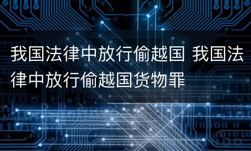 我国法律中放行偷越国 我国法律中放行偷越国货物罪