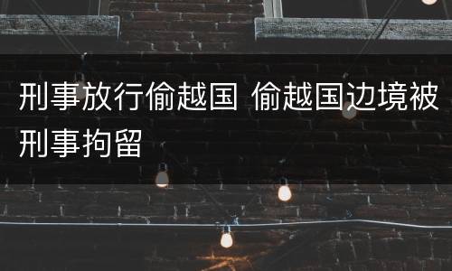 刑事放行偷越国 偷越国边境被刑事拘留