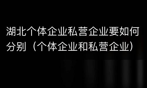 湖北个体企业私营企业要如何分别（个体企业和私营企业）