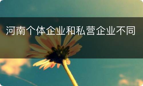 河南个体企业和私营企业不同