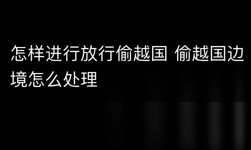 怎样进行放行偷越国 偷越国边境怎么处理