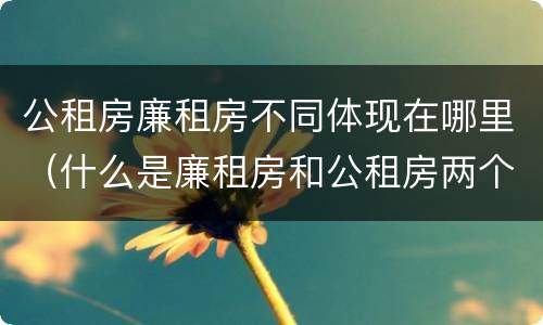 公租房廉租房不同体现在哪里（什么是廉租房和公租房两个有什么特点）