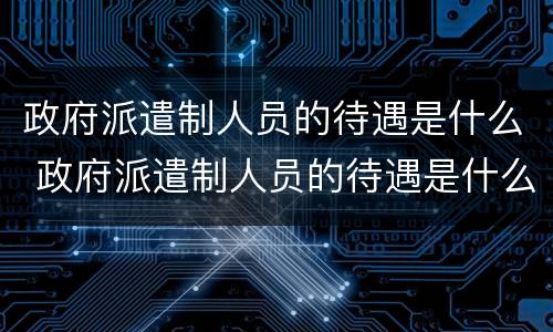 政府派遣制人员的待遇是什么 政府派遣制人员的待遇是什么级别