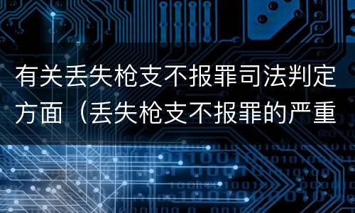 有关丢失枪支不报罪司法判定方面（丢失枪支不报罪的严重后果）