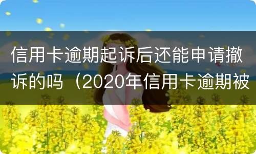 信用卡逾期起诉后还能申请撤诉的吗（2020年信用卡逾期被起诉立案后怎么解决）