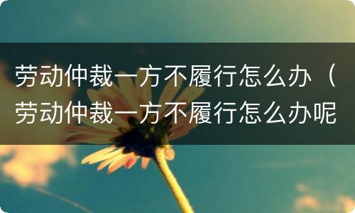 劳动仲裁一方不履行怎么办（劳动仲裁一方不履行怎么办呢）