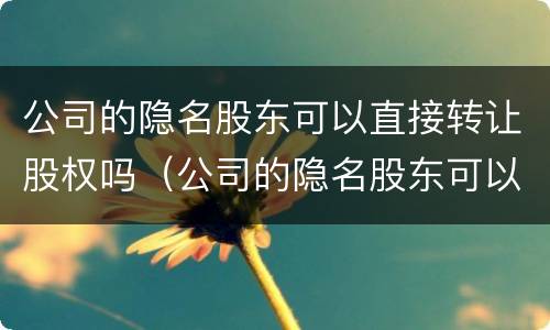 公司的隐名股东可以直接转让股权吗（公司的隐名股东可以直接转让股权吗合法吗）
