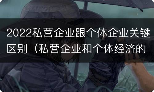 2022私营企业跟个体企业关键区别（私营企业和个体经济的区别）