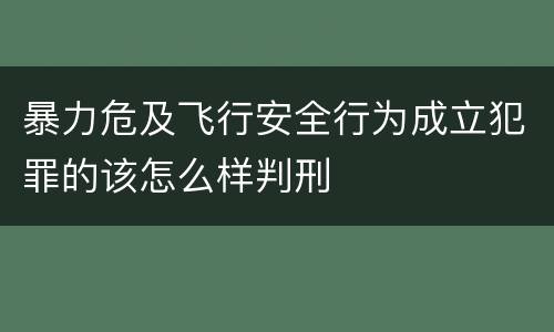 暴力危及飞行安全行为成立犯罪的该怎么样判刑