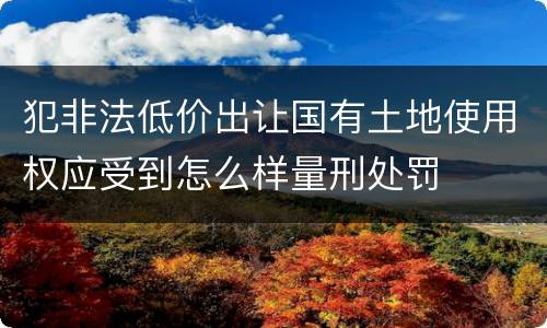 犯非法低价出让国有土地使用权应受到怎么样量刑处罚
