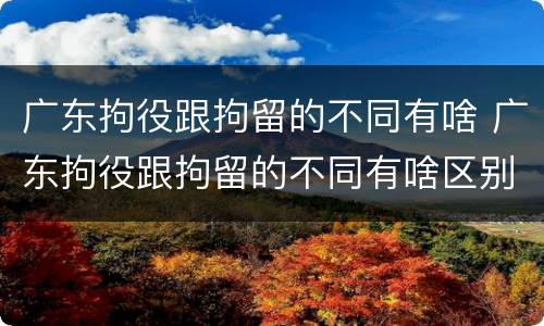 广东拘役跟拘留的不同有啥 广东拘役跟拘留的不同有啥区别
