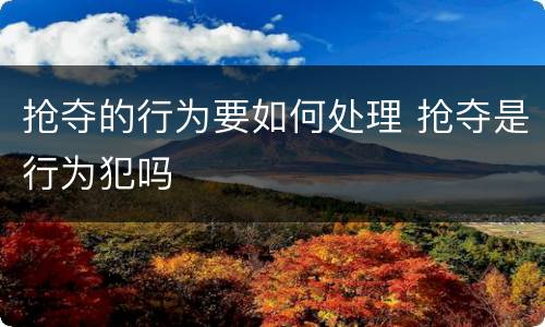 抢夺的行为要如何处理 抢夺是行为犯吗