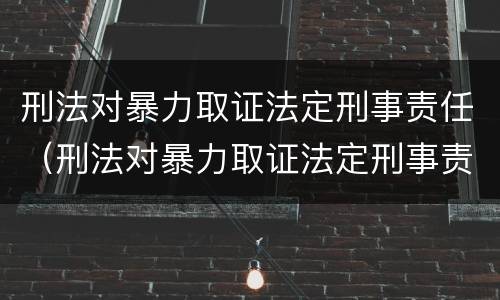 刑法对暴力取证法定刑事责任（刑法对暴力取证法定刑事责任的规定）