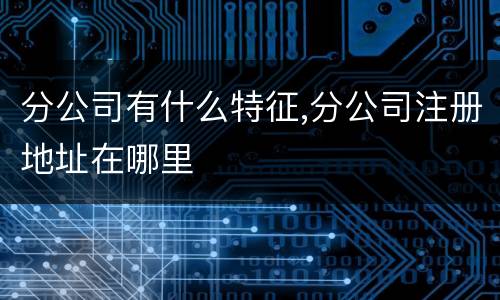 分公司有什么特征,分公司注册地址在哪里
