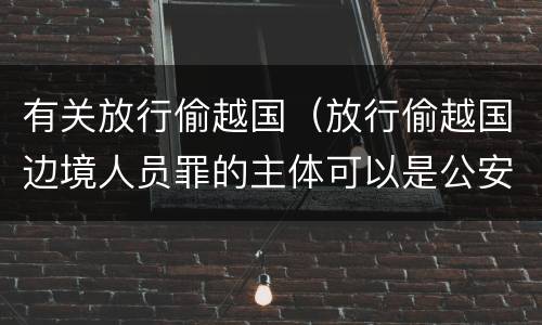 有关放行偷越国（放行偷越国边境人员罪的主体可以是公安民警吗）
