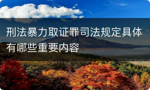 刑法暴力取证罪司法规定具体有哪些重要内容