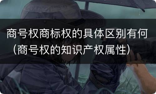 商号权商标权的具体区别有何（商号权的知识产权属性）