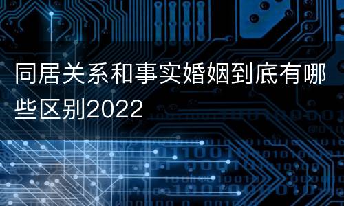 同居关系和事实婚姻到底有哪些区别2022