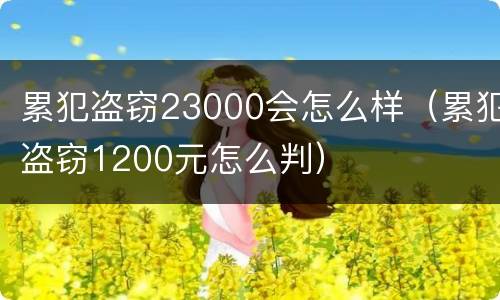 累犯盗窃23000会怎么样（累犯盗窃1200元怎么判）