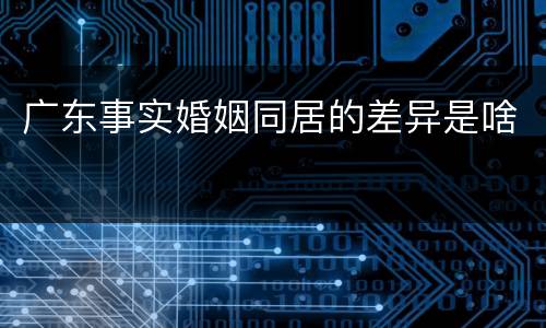 广东事实婚姻同居的差异是啥