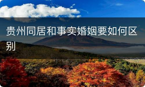 贵州同居和事实婚姻要如何区别
