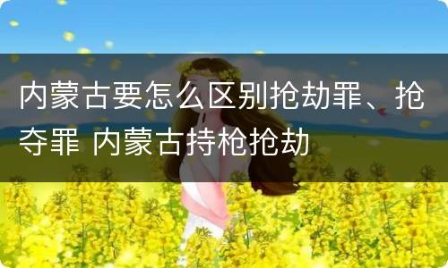 内蒙古要怎么区别抢劫罪、抢夺罪 内蒙古持枪抢劫