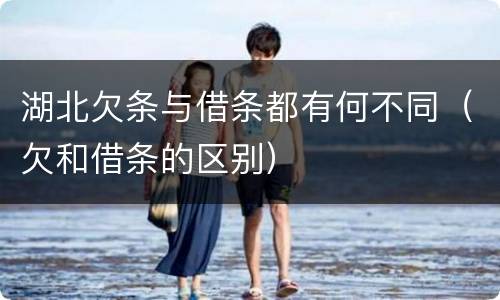 湖北欠条与借条都有何不同（欠和借条的区别）