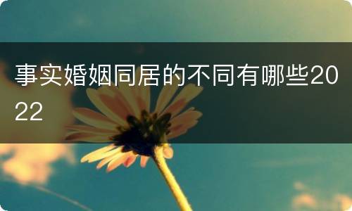 事实婚姻同居的不同有哪些2022