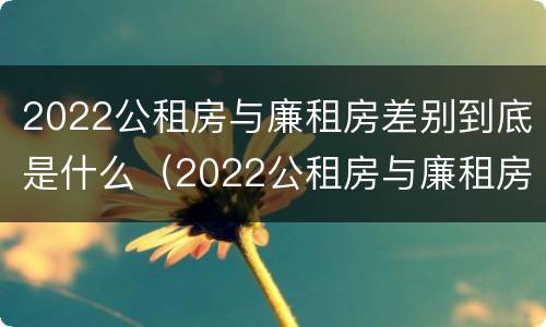 2022公租房与廉租房差别到底是什么（2022公租房与廉租房差别到底是什么意思）