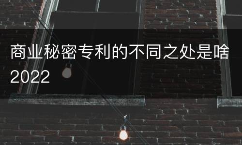 商业秘密专利的不同之处是啥2022