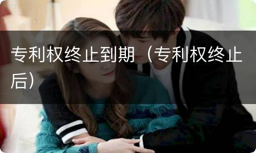 专利权终止到期（专利权终止后）