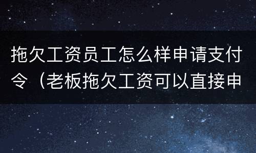 拖欠工资员工怎么样申请支付令（老板拖欠工资可以直接申请支付令吗）