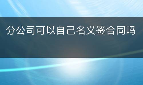 分公司可以自己名义签合同吗