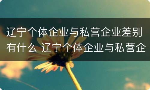 辽宁个体企业与私营企业差别有什么 辽宁个体企业与私营企业差别有什么特点