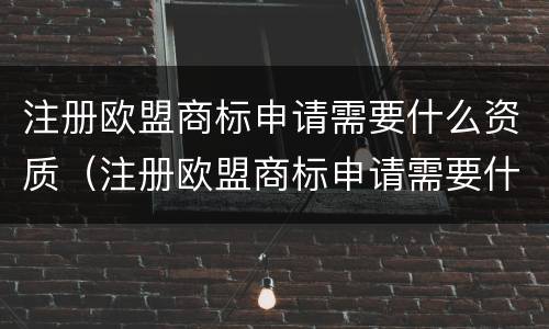 注册欧盟商标申请需要什么资质（注册欧盟商标申请需要什么资质和条件）