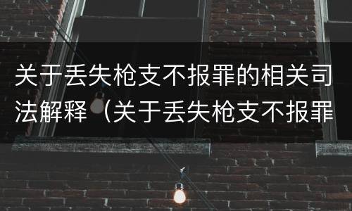 关于丢失枪支不报罪的相关司法解释（关于丢失枪支不报罪的相关司法解释有哪些）