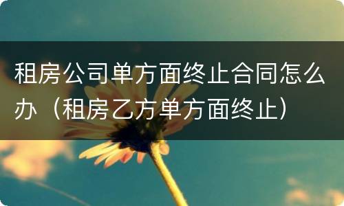 租房公司单方面终止合同怎么办（租房乙方单方面终止）