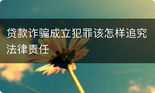 贷款诈骗成立犯罪该怎样追究法律责任
