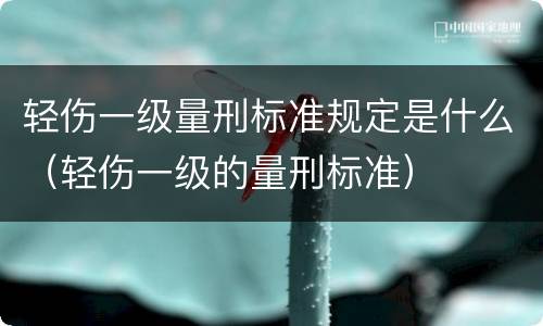 轻伤一级量刑标准规定是什么（轻伤一级的量刑标准）