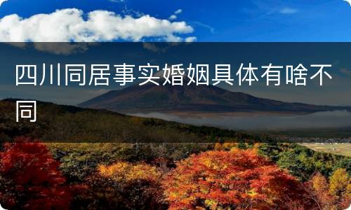 四川同居事实婚姻具体有啥不同