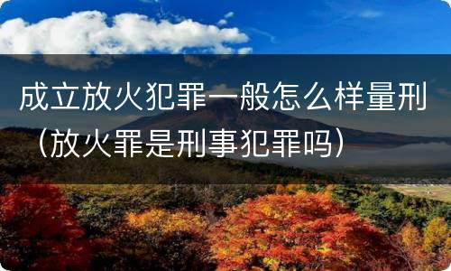 成立放火犯罪一般怎么样量刑（放火罪是刑事犯罪吗）