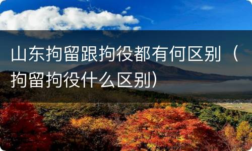山东拘留跟拘役都有何区别（拘留拘役什么区别）