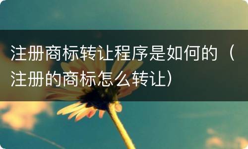 注册商标转让程序是如何的（注册的商标怎么转让）