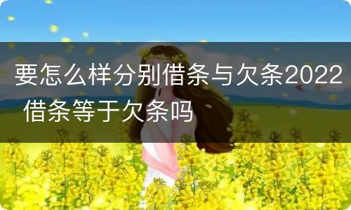 要怎么样分别借条与欠条2022 借条等于欠条吗