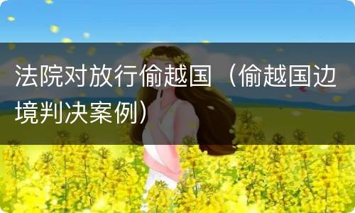 法院对放行偷越国（偷越国边境判决案例）