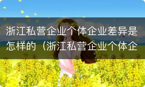 浙江私营企业个体企业差异是怎样的（浙江私营企业个体企业差异是怎样的呢）